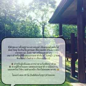 Momor the Farm 1, Hotel Kaeng Khoi District