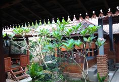 外観 5 Omah Ndeso Godean - Traditional House 2