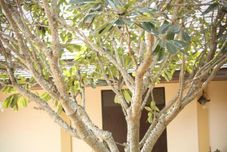 Khu vực công cộng Calvary Home Chiangmai