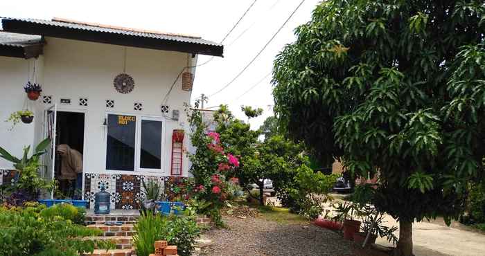 Exterior Sophia Family Homestay