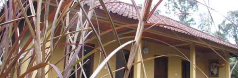 Lobi Sibetan Homestay