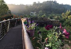 ภายนอกอาคาร 3 Khao Pub Pa Resort