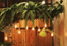 Lobby 5 Sleepcase Hostel