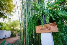 Sảnh chờ Mango T. villa Chiangmai Resort