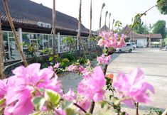 Exterior 4 Ataya Hotel