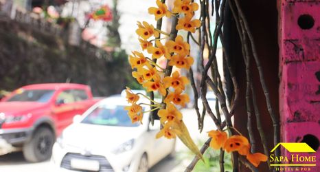 Lobby 2 Sapa Home Hotel