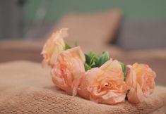 寝室 5 MATINI KLONG1