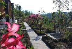 Bangunan 6 Sebrang Hill Bungalow