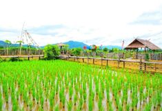 Bangunan 4 James Khanna Thong Kham Farm Stay (organic farm)