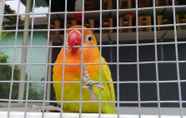 Lobi 3 Wisma Lovebird