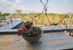 Khu vực công cộng 7 NATURE LAND 2 - Song Anh Hotel Dalat