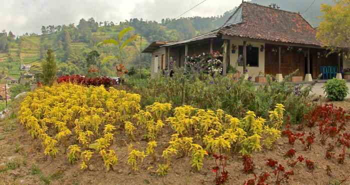 Bên ngoài Cozy Homestay Nuansa Baru by Damandiri Selo