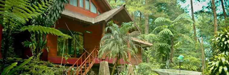 Lobby Cilember Cottage & Lodge - Curug CIlember