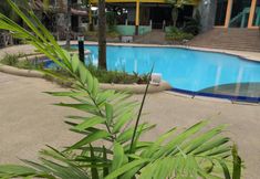 Swimming Pool 5 Vitatree Cottage