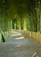 VIEW_ATTRACTIONS Bamboo Grove Chiangmai