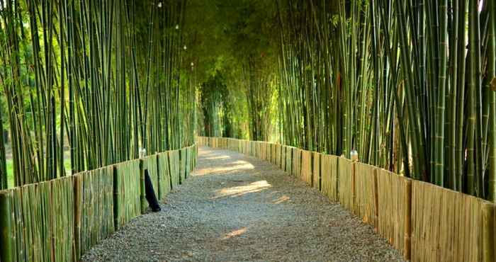 Atraksi di Area Sekitar Bamboo Grove Chiangmai