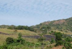 วิวและสถานที่ท่องเที่ยวใกล้เคียง 2 @ Kartoon Resort Khao Kho