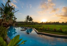 Swimming Pool 3 Beehouse Dijiwa Ubud