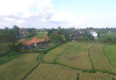 Nearby View and Attractions 5 Griya KCB Villa Ubud