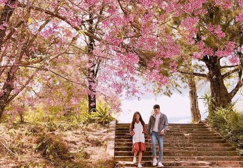 주변 전망 및 관광 명소 Lien Son Hotel Dalat