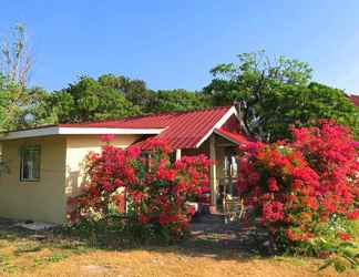 Exterior 2 Ayoyo Cove Inn Guesthouse