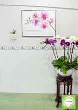 Sảnh chờ 4 Orchid Garden Homestay Can Tho