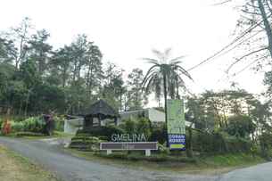 Coban Rondo Palawi Resort, THB 490.51