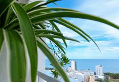 Nearby View and Attractions 2 HomeAway - Melody Vung Tau