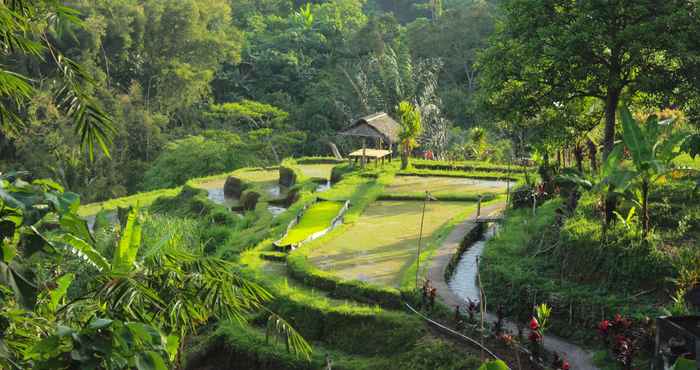 Atraksi di Area Sekitar Sang Tirta Farm Living Resort