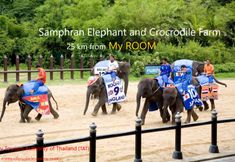 フィットネスセンター 6 My ROOM Nakhonpathom