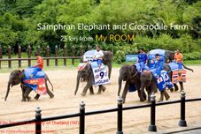 健身中心 My ROOM Nakhonpathom