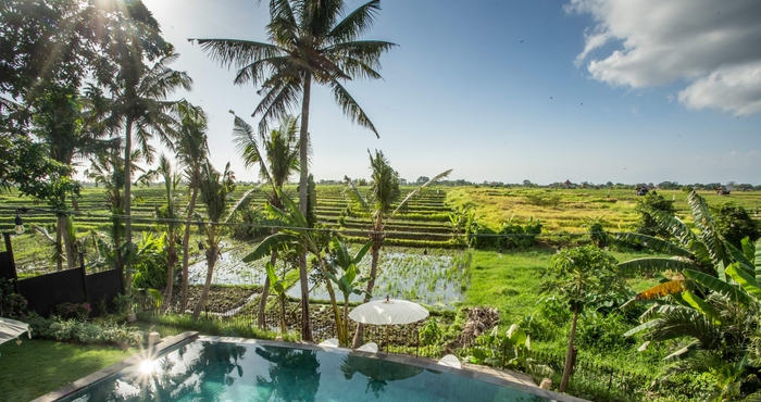 Kolam Renang Villas Rimba