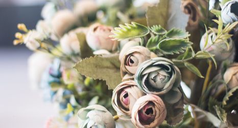 大堂 2 The Paper House