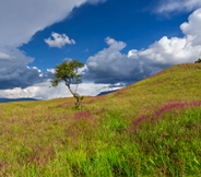 Nearby View and Attractions 7 Grand Baliem Hotel Wamena