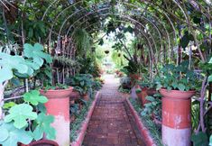 พื้นที่สาธารณะ 4 Euangnuae Resort