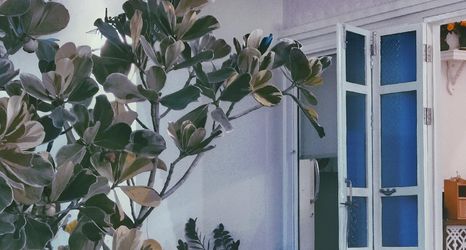 大堂 2 Pakdara Villa