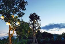 公共空间 Pakdara Villa