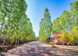 Baan Pak Wangthong, USD 17.12