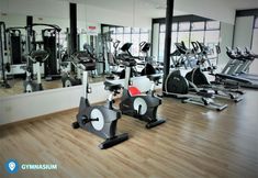 Fitness Center 4 Desa Selatan Resort