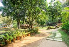 Nearby View and Attractions 5 Mae Ta Mann Wongnam Yard Resort