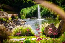 餐廳 Resort Huangchui Baan Phu Khao