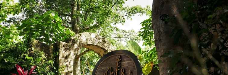 Lobby Roots Tree House