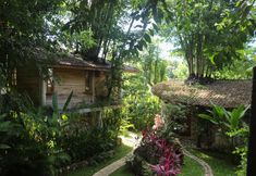 Exterior 4 Roots Tree House