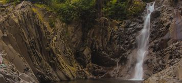 Nearby View and Attractions 3 The Olive Bogor
