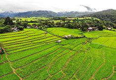 Khu vực công cộng 2 Chinopuu Hut Homestay Muangkong