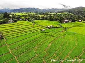 พื้นที่สาธารณะ 4 Chinopuu Hut Homestay Muangkong