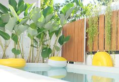 Swimming Pool 5 Roemah Renjana Makassar