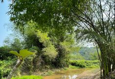 Common Space 4 Hin Tang Garden