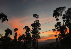 Nearby View and Attractions 2 Wind's Cabin  (Wooden Homestay Ciwidey)