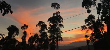 Nearby View and Attractions 2 Wind's Cabin  (Wooden Homestay Ciwidey)